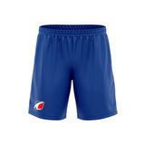 Training Shorts Royal